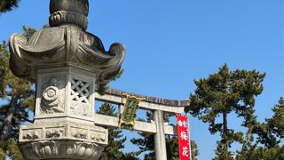 北野天満宮の梅見には少し早かったかな…