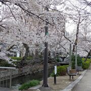 ＪＲ岡山駅東口に近い桜の名所です。