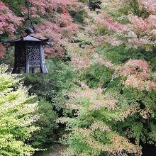 ...庭園も風情有り。