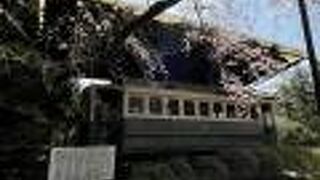 神苑で目をひきます