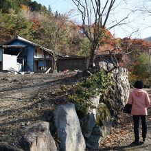 ムツさんの家に登ってみる