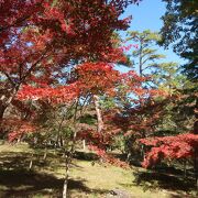 長瀞の紅葉スポット