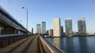 ダイナミックな光景でした