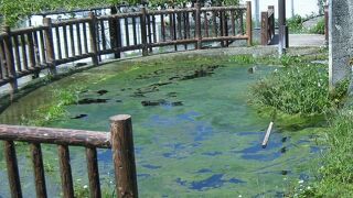 湧泉を利用した共同井泉