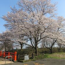 喜連川城跡