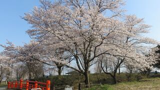 喜連川城跡