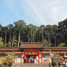 きれいな青空です。