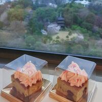 セレクションズ