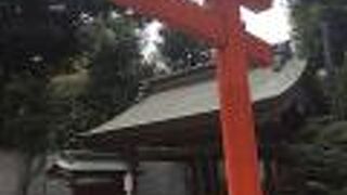 小石が散りばめられた地面