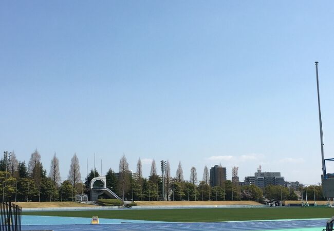 皇子山総合運動公園陸上競技場