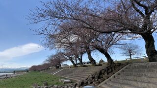 笠松みなと公園