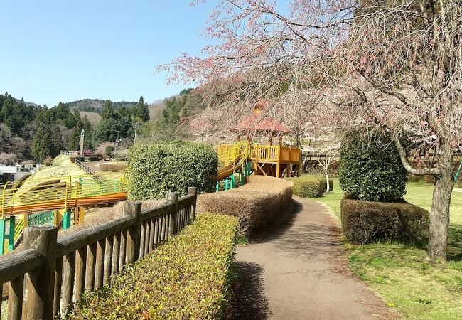 倉渕せせらぎ公園 クチコミ・アクセス・営業時間｜榛名・吾妻