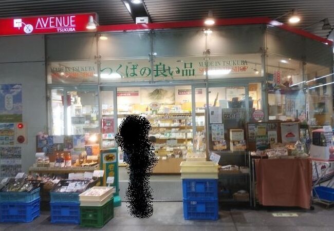 コンパクトだが品ぞろえの種類は豊富