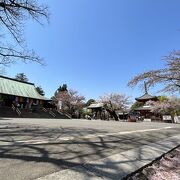 紅葉の季節に庭園を見たいお寺です