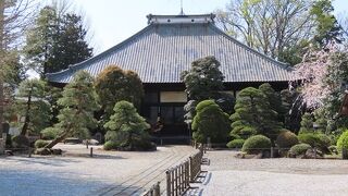 広々としていますが樹々は少なく静寂でした