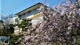 2022年 桜の<のぼり雲> 表門/建屋と内窓/露天風呂も