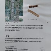 金沢動物園や金沢自然公園を散策する前に寄って旬な情報を手に入れよう