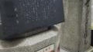 植栽もあって良い感じの橋です。