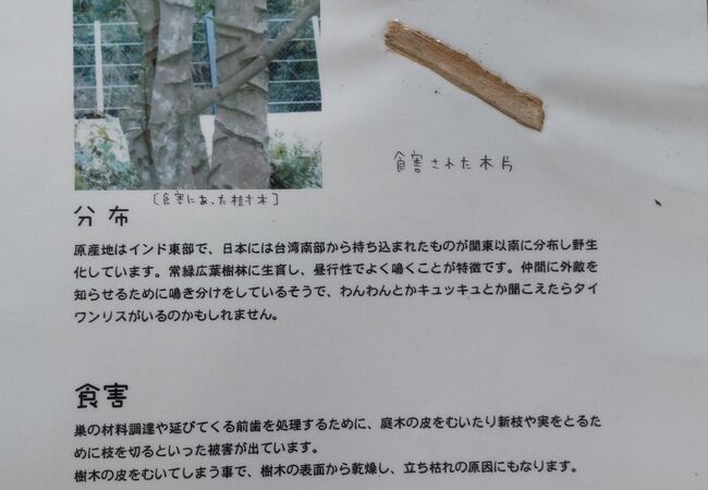 金沢動物園や金沢自然公園を散策する前に寄って旬な情報を手に入れよう