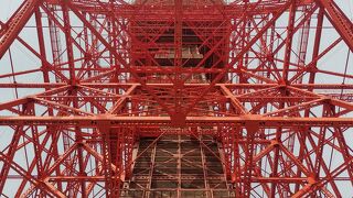 周辺の桜を観に‥‥！