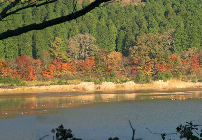 湖畔の紅葉が綺麗でした。