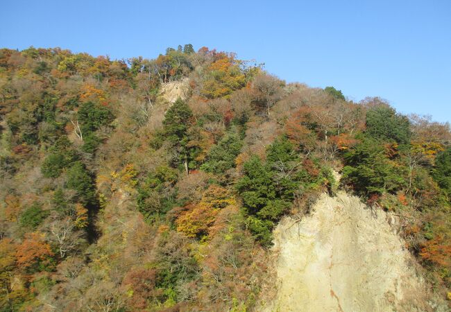 美しい紅葉景色でした。