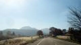 ススキがきれいでした。