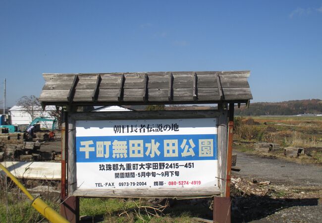 千町無田水田公園