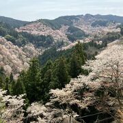 やはりここからの吉野山風景が絶品