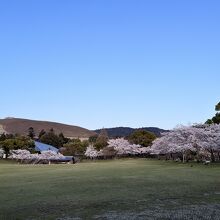 人の少ない時間がおすすめ