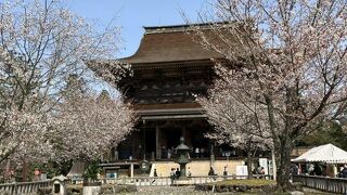 今年は黒門はリニュアル中