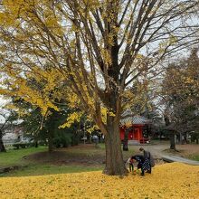 秋の陸奥国分寺跡敷地は風情あり。