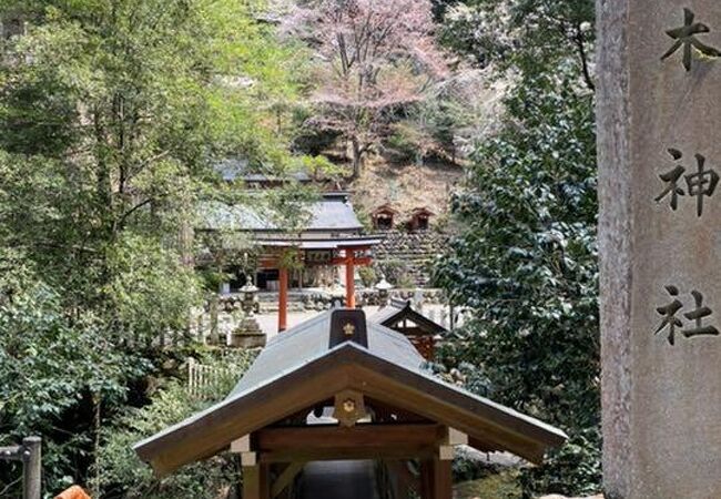 桜木神社