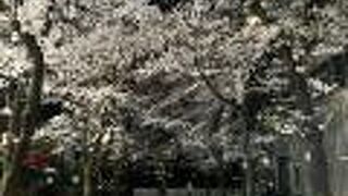 風情ある京都の一角