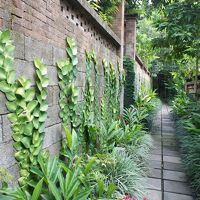 リゾート内の通路