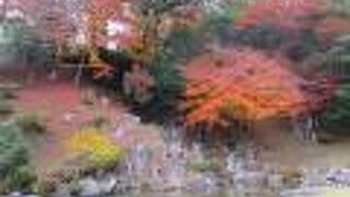 枯滝の辺りが１番見応えがありました。