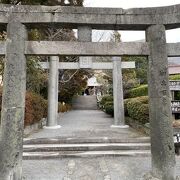 雲仙温泉神社の夫婦柿