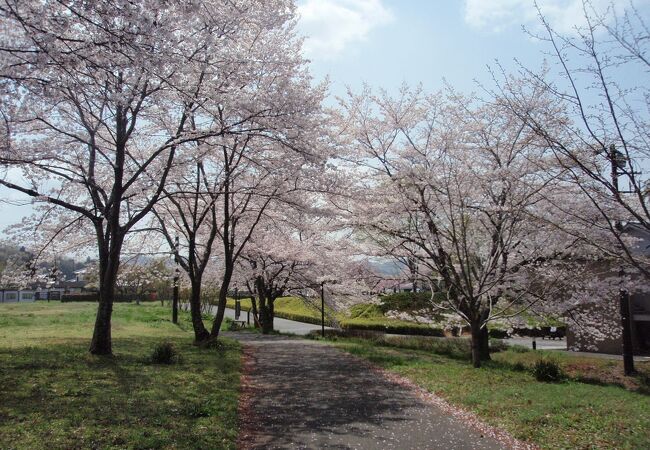鉢形城・寄居町散策で鉢形城歴史館に行きました