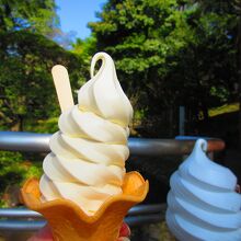 暑かったので、ソフトクリーム￥350