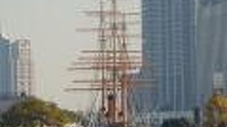 東京海洋大学･越中島キャンパスにあります