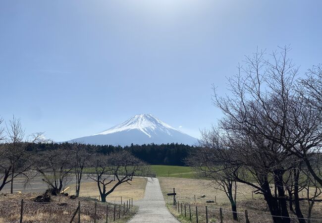 絶景富士山！！