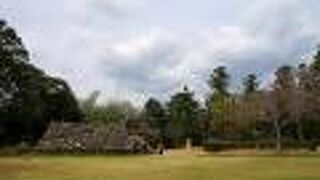 広い敷地、各所に石垣