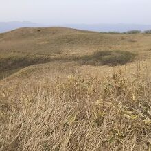 男三瓶山頂上の草原。