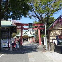 鳥居の奥に本殿があります。