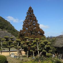 独特な風景