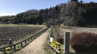 芭蕉・蕪村の句碑、そして