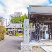 寺の前には「禅林寺」と彫られた大きな石碑があるのすぐに分かると思います。