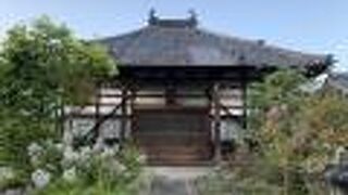 山手殿が眠るお寺