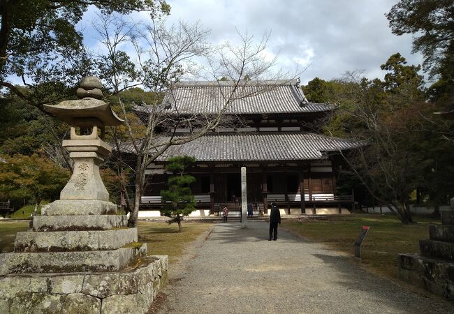 国内最大の木造・多宝塔（国宝）などの建造物とあわせて歴史を学び楽しめました！