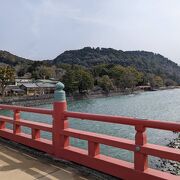 桜と宇治朝霧橋 | 写真 | アールクリエーション
